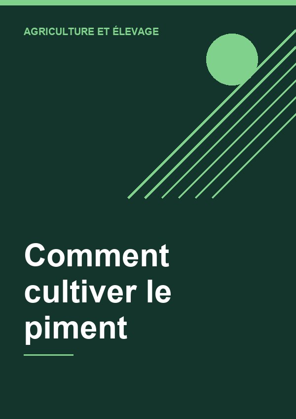 Couverture de Comment cultiver le piment