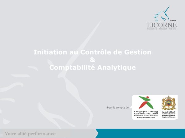 Contrôle de gestion et comptabilité analytique
