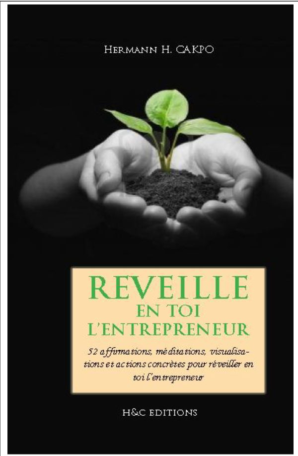 Couverture de Reveille en toi l entrepreneur
