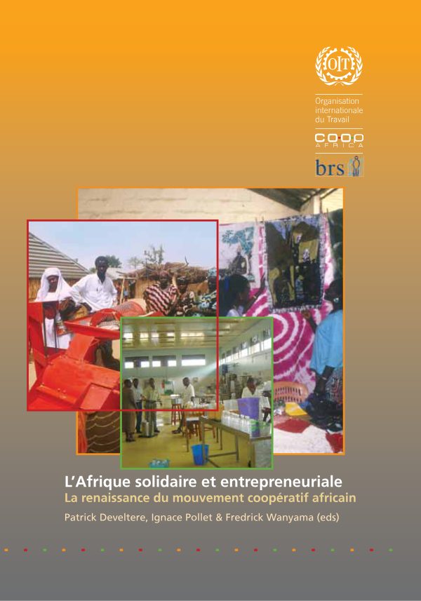 Couverture de L'Afrique solidaire et entrepreneuriale