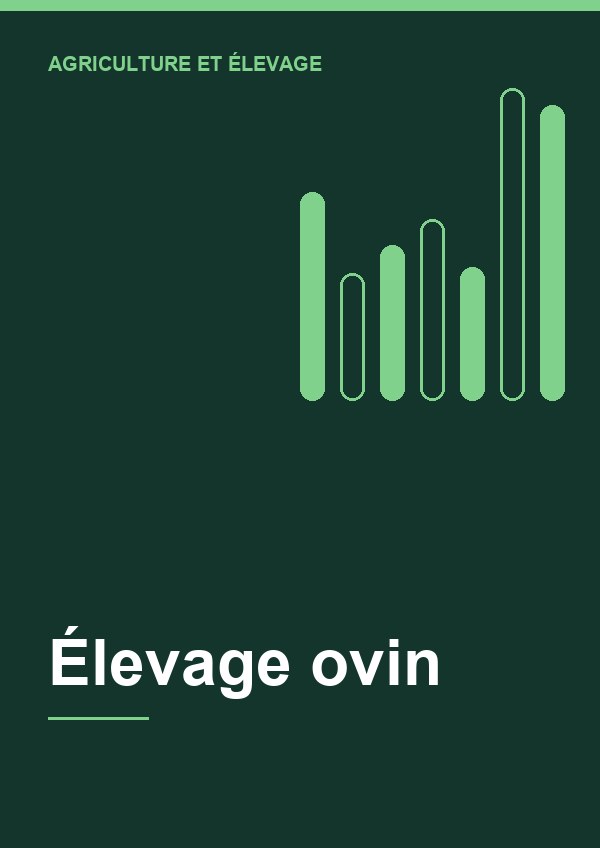 Élevage ovin
